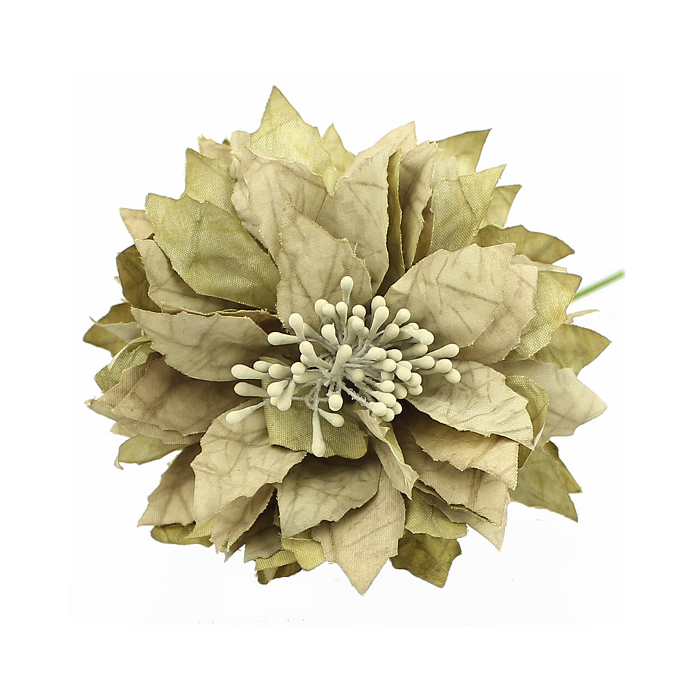 fleur montse beige fleur montse beige