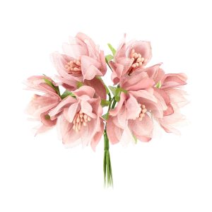 bouquet bolonia rose nude